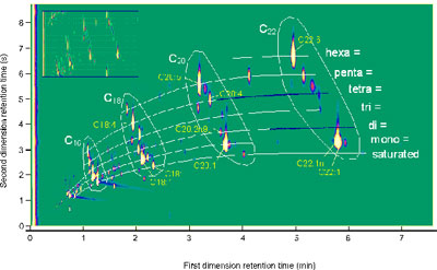 GC×GC separation of herring oil. 