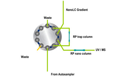 Microcolumn switching (Downloadable PPT file)