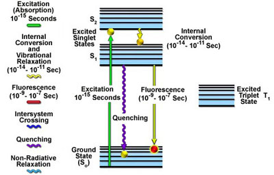 Excitation and fluorescence