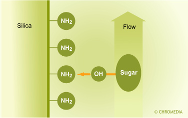 Weak (an)ion exchange mechanism