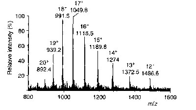 ESI spectrum of multiply charged protein (Lysozyme)