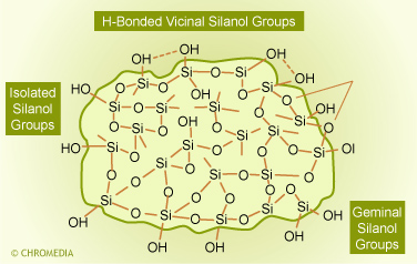 Silanol groups at silica surface